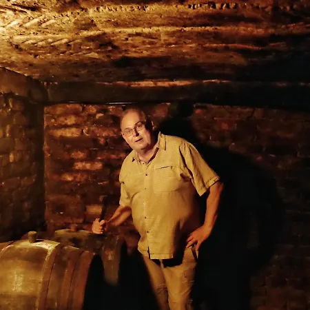 Vineyard Kapolna 홈스테이 Szigetvár