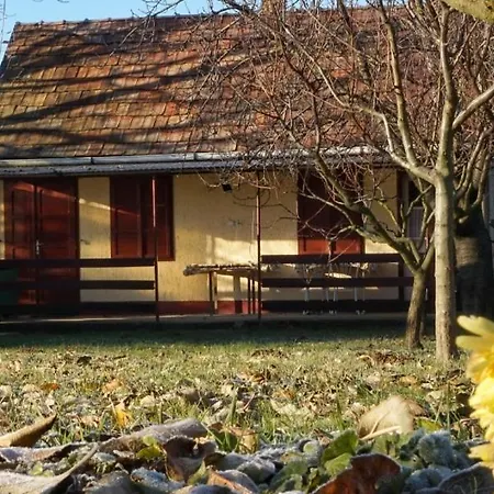 홈스테이 Vineyard Kapolna