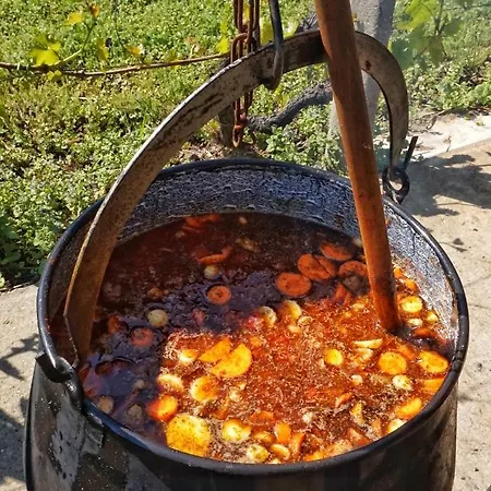 Vineyard Kapolna 홈스테이 Szigetvár