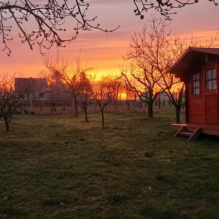 Vineyard Kapolna
